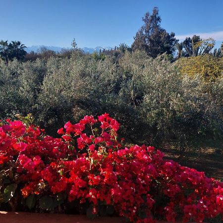 Manzal Lahbab Bed & Breakfast Marrakesh Bagian luar foto