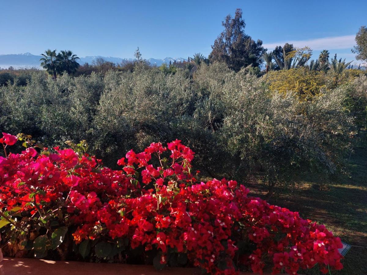 Manzal Lahbab Bed & Breakfast Marrakesh Bagian luar foto